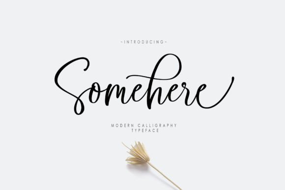 Somehere: A Designer's Honest Review for Real Projects
